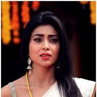 Shriya Cute Saree Images | Picture 522743