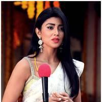 Shriya Cute Saree Images | Picture 522744