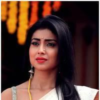 Shriya Cute Saree Images | Picture 522745
