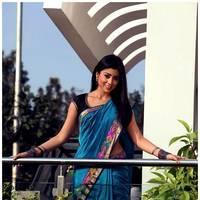 Shriya Cute Saree Images | Picture 522900