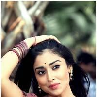 Shriya Cute Saree Images | Picture 522901