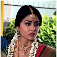 Shriya Cute Saree Images | Picture 522748