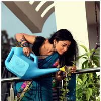 Shriya Cute Saree Images | Picture 522903