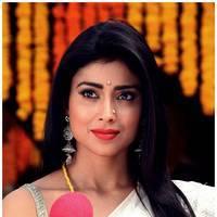Shriya Cute Saree Images | Picture 522752