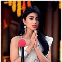 Shriya Cute Saree Images | Picture 522754