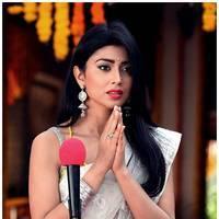 Shriya Cute Saree Images | Picture 522758