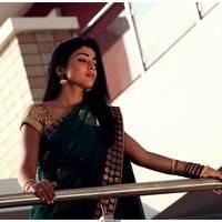 Shriya Cute Saree Images | Picture 522912