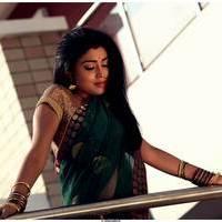 Shriya Cute Saree Images | Picture 522916