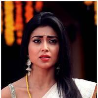 Shriya Cute Saree Images | Picture 522764