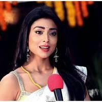 Shriya Cute Saree Images | Picture 522765