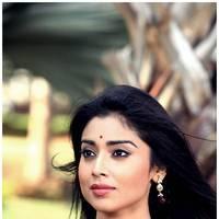 Shriya Cute Saree Images | Picture 522919