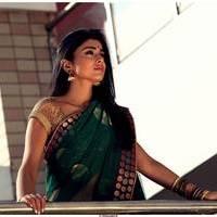 Shriya Cute Saree Images | Picture 522920