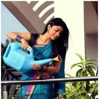 Shriya Cute Saree Images | Picture 522921