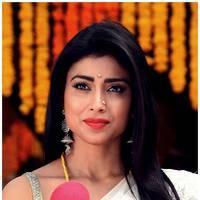 Shriya Cute Saree Images | Picture 522767