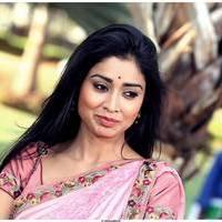 Shriya Cute Saree Images | Picture 522923