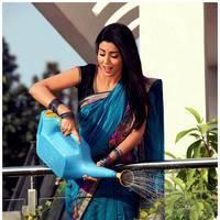 Shriya Cute Saree Images | Picture 522924