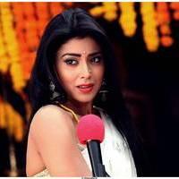 Shriya Cute Saree Images | Picture 522771