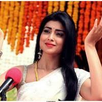 Shriya Cute Saree Images | Picture 522776