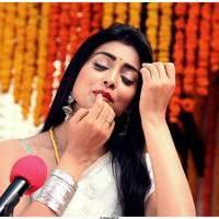 Shriya Cute Saree Images | Picture 522777