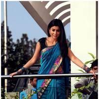 Shriya Cute Saree Images | Picture 522932