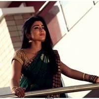 Shriya Cute Saree Images | Picture 522936