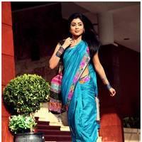 Shriya Cute Saree Images | Picture 522939