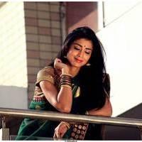 Shriya Cute Saree Images | Picture 522788