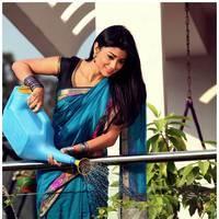 Shriya Cute Saree Images | Picture 522940