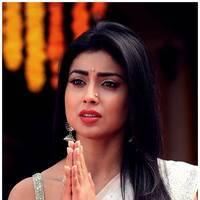Shriya Cute Saree Images | Picture 522789