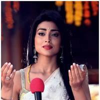 Shriya Cute Saree Images | Picture 522791