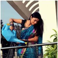 Shriya Cute Saree Images | Picture 522944