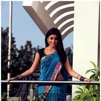 Shriya Cute Saree Images | Picture 522945