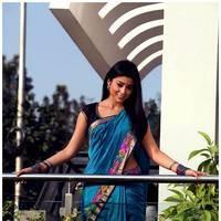 Shriya Cute Saree Images | Picture 522949