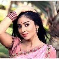 Shriya Cute Saree Images | Picture 522953