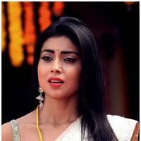 Shriya Cute Saree Images | Picture 522796