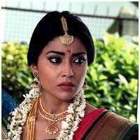 Shriya Cute Saree Images | Picture 522797