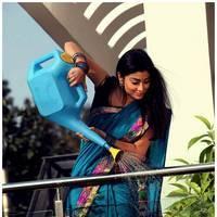 Shriya Cute Saree Images | Picture 522958