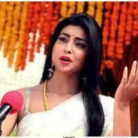 Shriya Cute Saree Images | Picture 522799