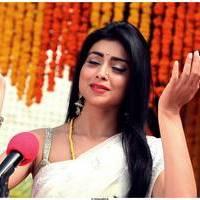 Shriya Cute Saree Images | Picture 522801