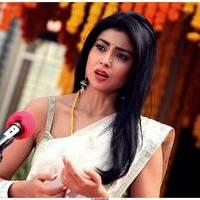 Shriya Cute Saree Images | Picture 522802