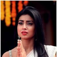 Shriya Cute Saree Images | Picture 522803