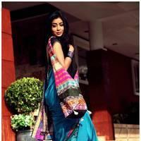 Shriya Cute Saree Images | Picture 522961