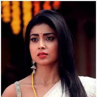 Shriya Cute Saree Images | Picture 522805