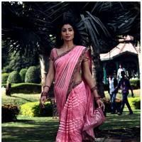 Shriya Cute Saree Images | Picture 522963