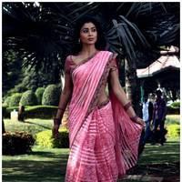 Shriya Cute Saree Images | Picture 522967