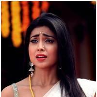 Shriya Cute Saree Images | Picture 522811