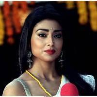 Shriya Cute Saree Images | Picture 522812