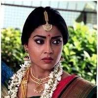 Shriya Cute Saree Images | Picture 522813