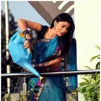 Shriya Cute Saree Images | Picture 522972