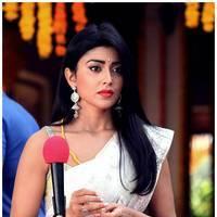 Shriya Cute Saree Images | Picture 522815